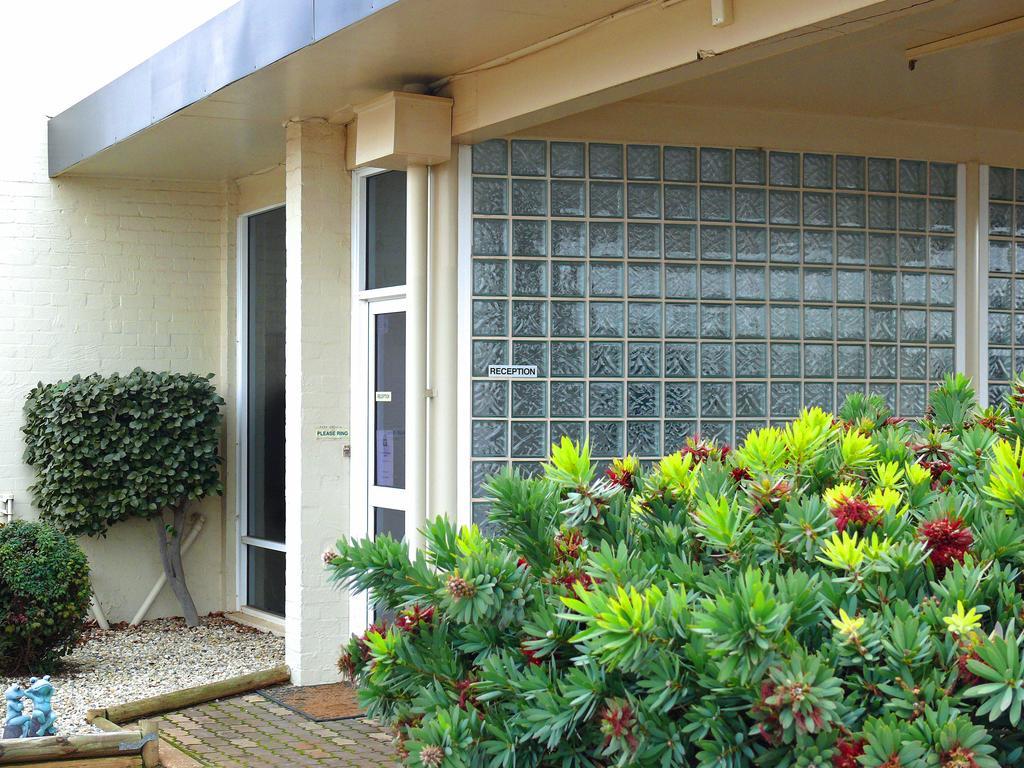 Charles Sturt Motor Inn West Wyalong Esterno foto